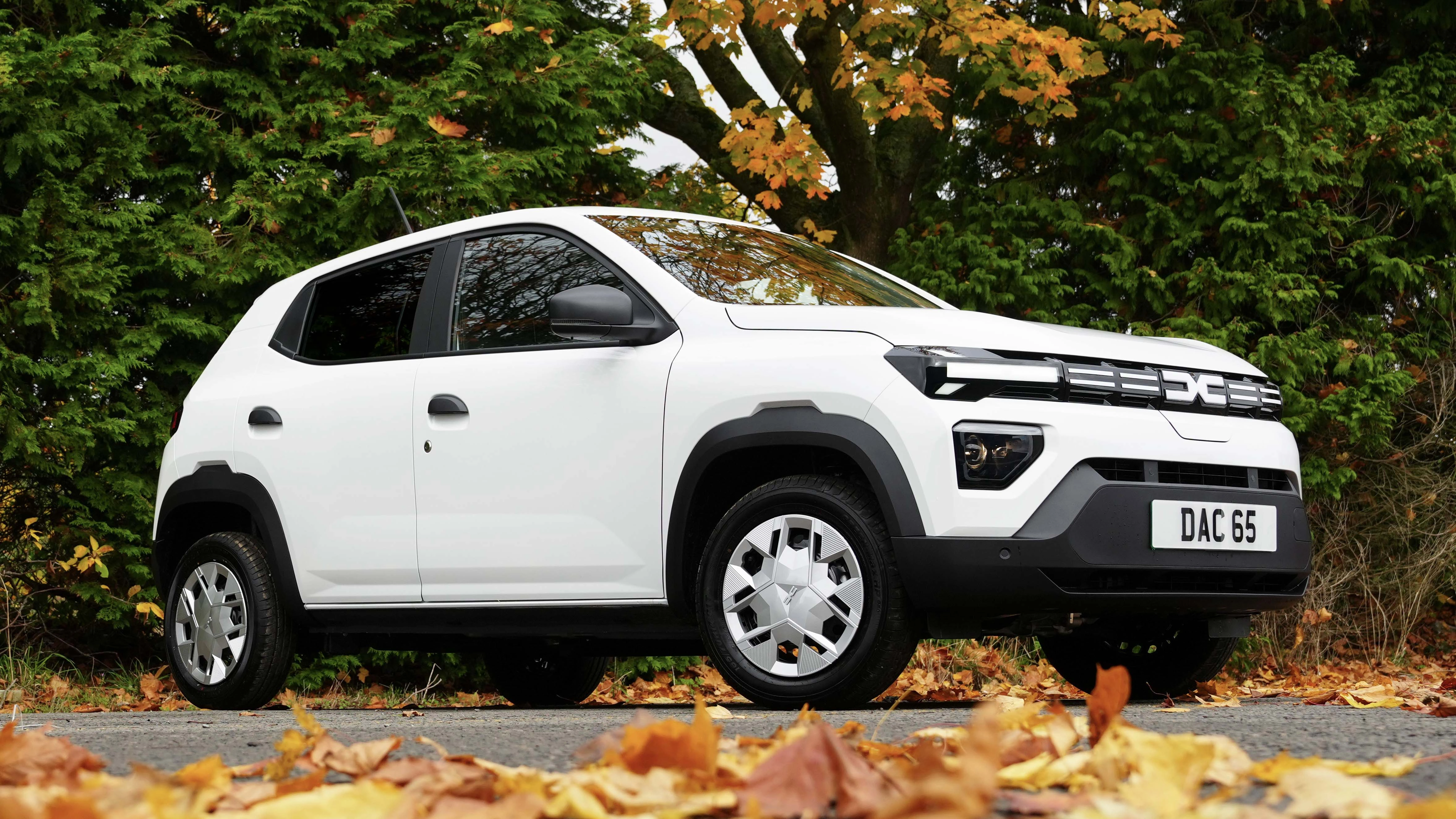Dacia Spring cargo 